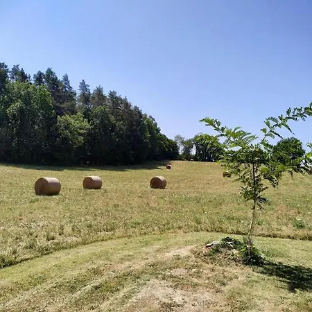 Bégonia Dans Un Cadre Idyllique, Idéalement Situé *