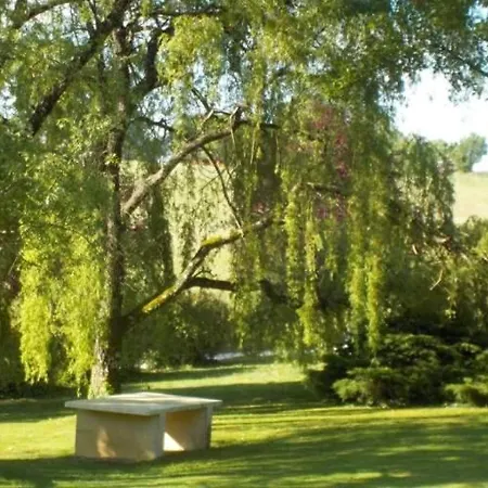 Bégonia Dans Un Cadre Idyllique, Idéalement Situé
